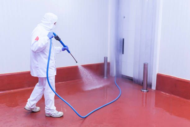 Reliable Troy, TX Pressure Washing Services Solutions
