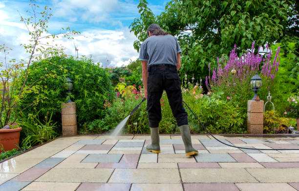 Best Driveway Cleaning and Restoration in Troy, TX